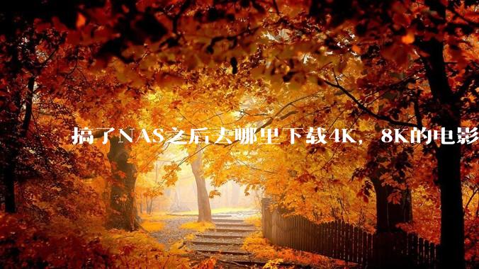 搞了NAS之后去哪里下载4K，8K的电影？