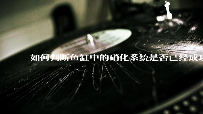 如何判断鱼缸中的硝化系统是否已经成功建立？
